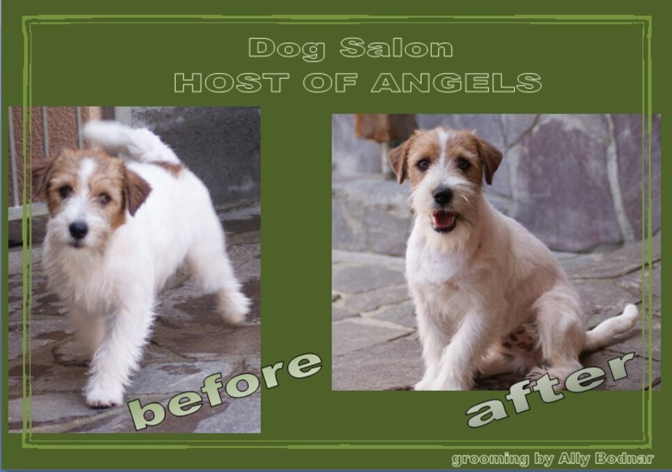 before-and-after-mut